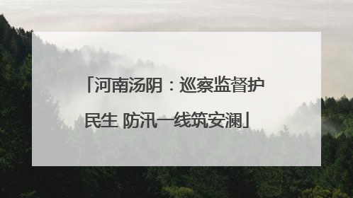 河南汤阴：巡察监督护民生 防汛一线筑安澜