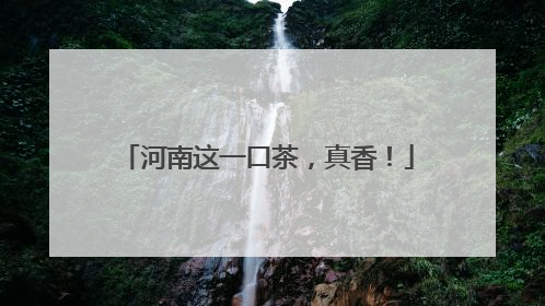 河南这一口茶，真香！