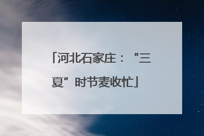 河北石家庄：“三夏”时节麦收忙