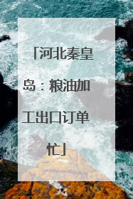 河北秦皇岛：粮油加工出口订单忙