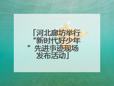 河北廊坊举行“新时代好少年”先进事迹现场发布活动