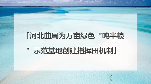 河北曲周为万亩绿色“吨半粮”示范基地创建指挥田机制