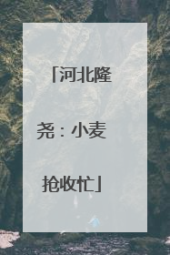 河北隆尧：小麦抢收忙