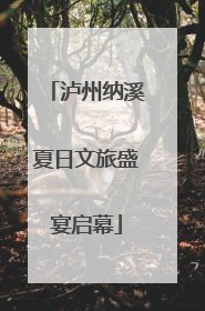 泸州纳溪夏日文旅盛宴启幕