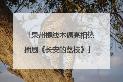泉州提线木偶亮相热播剧《长安的荔枝》