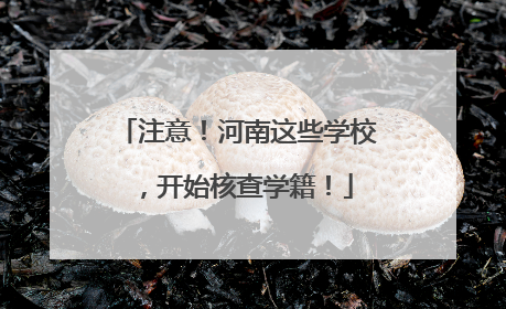 注意！河南这些学校，开始核查学籍！