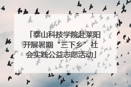 泰山科技学院赴莱阳开展暑期“三下乡”社会实践公益志愿活动