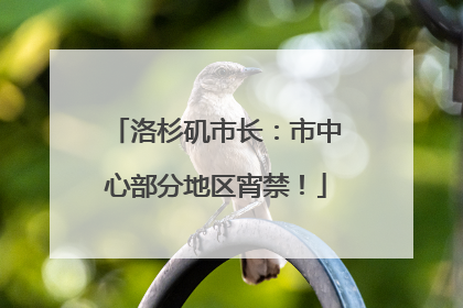 洛杉矶市长：市中心部分地区宵禁！
