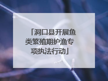 洞口县开展鱼类繁殖期护渔专项执法行动