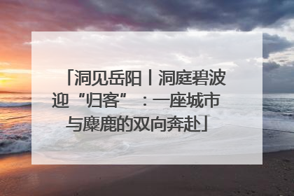 洞见岳阳丨洞庭碧波迎“归客”：一座城市与麋鹿的双向奔赴