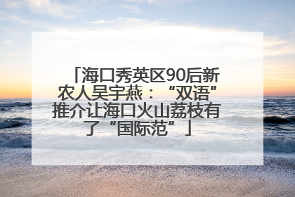 海口秀英区90后新农人吴宇燕：“双语”推介让海口火山荔枝有了“国际范”
