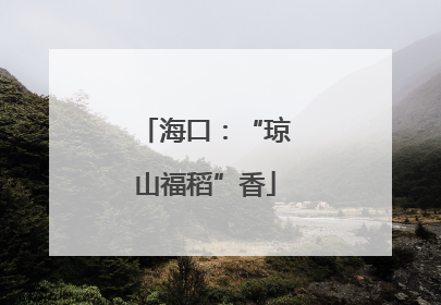 海口：“琼山福稻”香