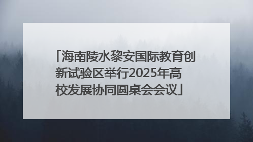 海南陵水黎安国际教育创新试验区举行2025年高校发展协同圆桌会会议