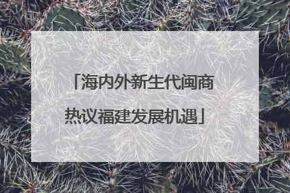 海内外新生代闽商热议福建发展机遇