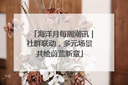海洋月每周潮讯｜社群联动，多元场景共绘蔚蓝新章