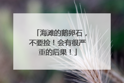 海滩的鹅卵石，不要捡！会有很严重的后果！