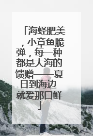 海蛏肥美，小章鱼脆弹，每一种都是大海的馈赠——夏日到海边 就爱那口鲜