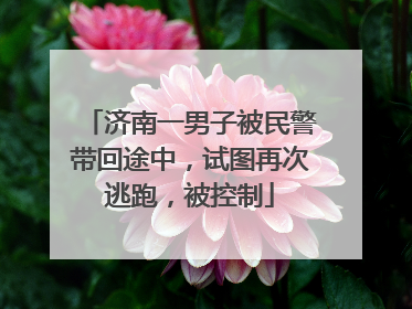 济南一男子被民警带回途中，试图再次逃跑，被控制