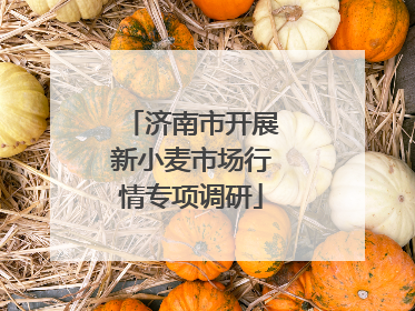 济南市开展新小麦市场行情专项调研
