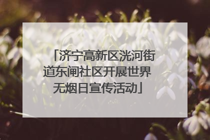 济宁高新区洸河街道东闸社区开展世界无烟日宣传活动