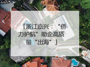 浙江嘉兴：“侨力护航”助企高质量“出海”