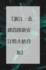 浙江：金建高铁新安江特大桥合龙