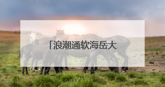 浪潮通软海岳大模型团队：青春逐浪，智启新程｜青春思政课