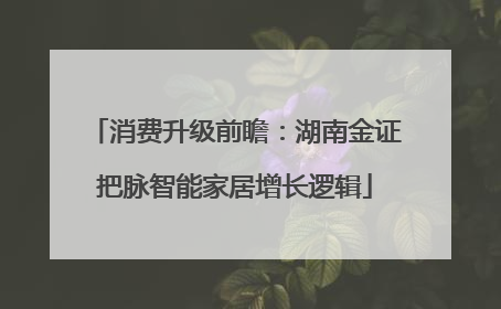 消费升级前瞻：湖南金证把脉智能家居增长逻辑