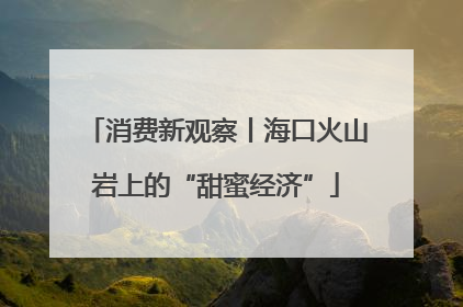 消费新观察丨海口火山岩上的“甜蜜经济”