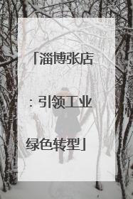 淄博张店：引领工业绿色转型