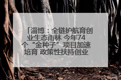 淄博：全链护航育创业生态雨林 今年74个“金种子”项目加速培育 政策性扶持创业9754人