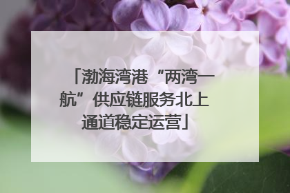 渤海湾港“两湾一航”供应链服务北上通道稳定运营