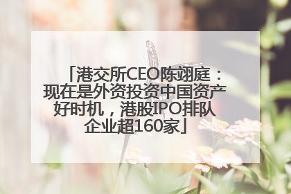 港交所CEO陈翊庭：现在是外资投资中国资产好时机，港股IPO排队企业超160家