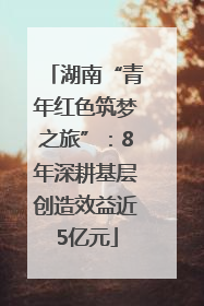 湖南“青年红色筑梦之旅”：8年深耕基层创造效益近5亿元