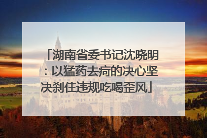 湖南省委书记沈晓明：以猛药去疴的决心坚决刹住违规吃喝歪风