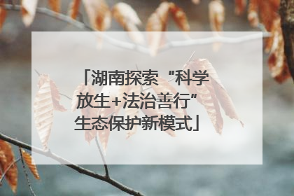 湖南探索“科学放生+法治善行”生态保护新模式