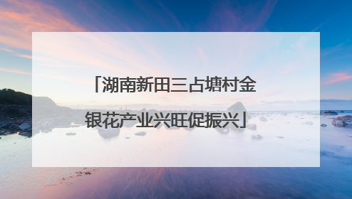 湖南新田三占塘村金银花产业兴旺促振兴