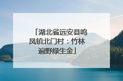 湖北省远安县鸣凤镇北门村：竹林遍野绿生金
