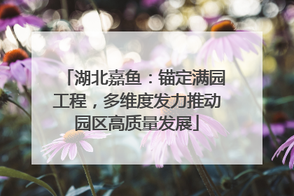 湖北嘉鱼：锚定满园工程，多维度发力推动园区高质量发展