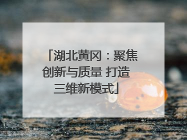 湖北黄冈：聚焦创新与质量 打造三维新模式