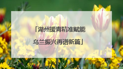 湖州援青精准赋能 乌兰振兴再谱新篇