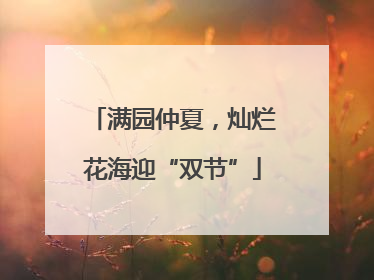 满园仲夏，灿烂花海迎“双节”