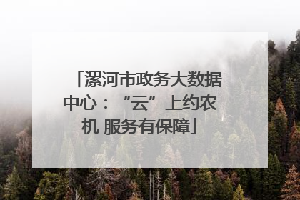 漯河市政务大数据中心：“云”上约农机 服务有保障