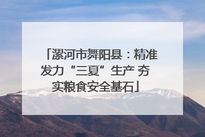 漯河市舞阳县：精准发力“三夏”生产 夯实粮食安全基石