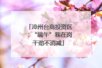 漳州台商投资区：“端午”我在岗 干劲不消减