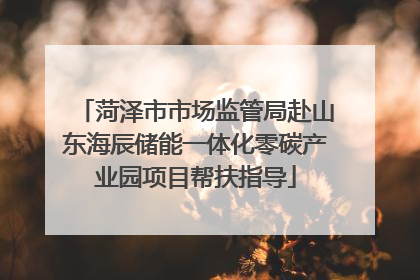 菏泽市市场监管局赴山东海辰储能一体化零碳产业园项目帮扶指导