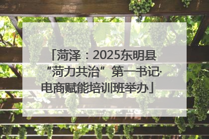 菏泽：2025东明县“菏力共治”第一书记·电商赋能培训班举办