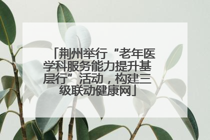 荆州举行“老年医学科服务能力提升基层行”活动，构建三级联动健康网