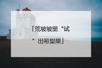荒坡坡里“试”出希望果
