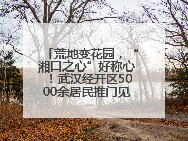 荒地变花园，“湘口之心”好称心！武汉经开区5000余居民推门见绿满眼风景
